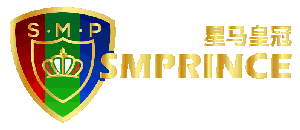 logo SMPrince